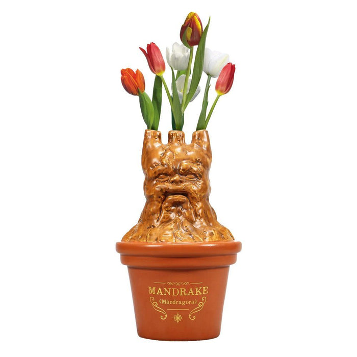 Harry Potter Alraunen-Blumenvase
