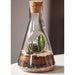 Laboratoriumglas terrarium kweekset in erlenmeyer