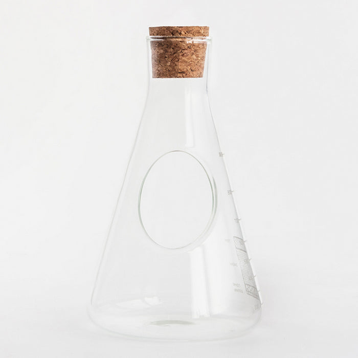 Laboratoriumglas terrarium kweekset in erlenmeyer