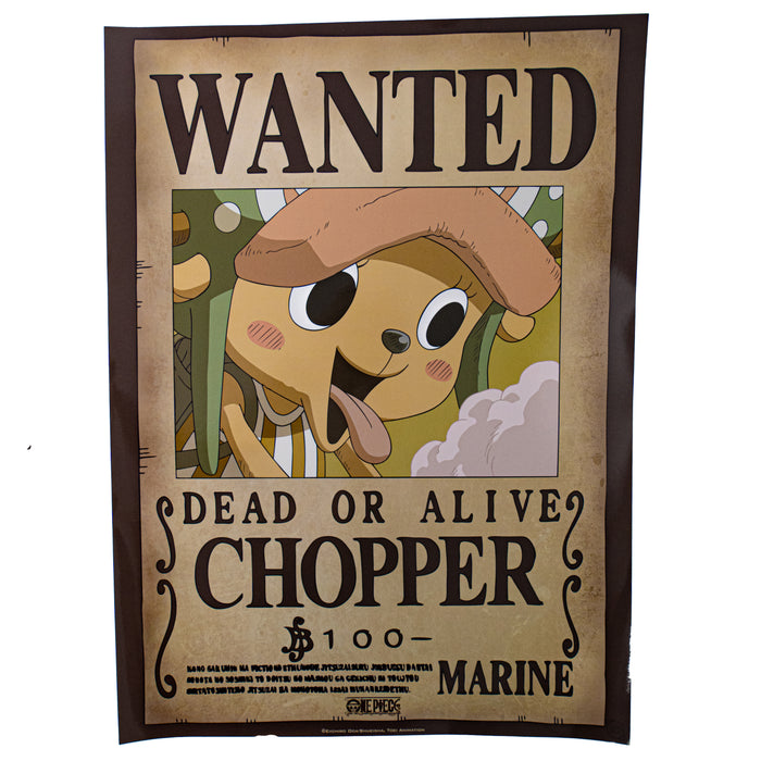productImage-21880-one-piece-wanted-poster-7.jpg