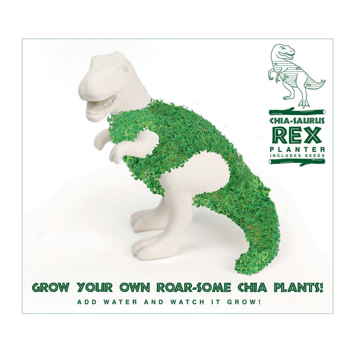 Chia-Saurus Rex Anzuchtset