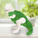 Chia-Saurus Rex Anzuchtset