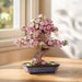 productImage-22507-sakura-bonsai-holzbausatz.jpg