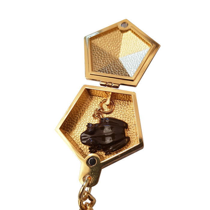 productImage-22915-harry-potter-schokofrosch-schluesselanhaenger-2.jpg