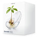 wms-23607-pos7.jpg