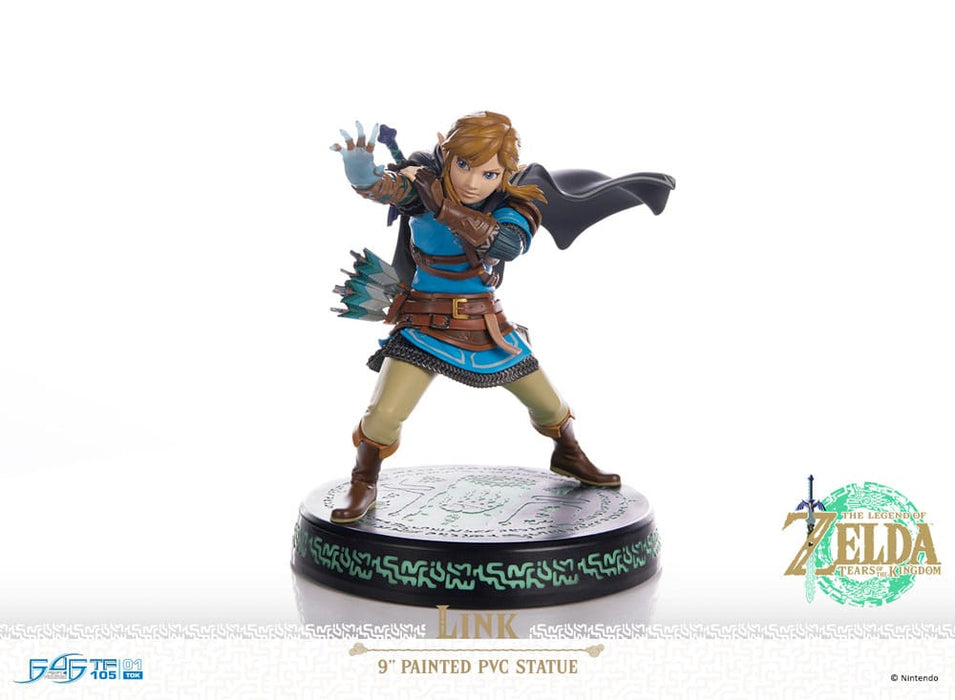 Statue Link The Legend of Zelda: Tears of the Kingdom