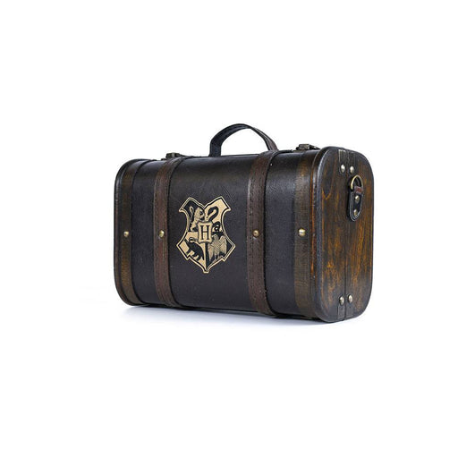 Harry Potter cadeaubox Trouble Finds Me