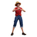 One Piece Figurine articulée Monkey D. Luffy (série Netflix)