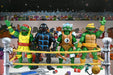 Teenage Mutant Ninja Turtles Stump Wrestling Actionfiguren 4er-Pack (Archie Comics)