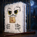 Harry Potter Carnet en Peluche Hedwige avec Stylo Plume d'Oie